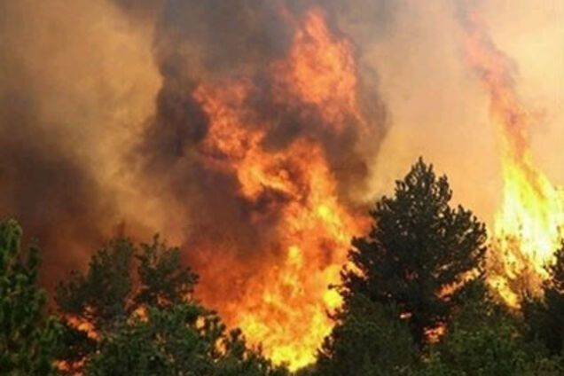 Полтавщину охватили лесные пожары