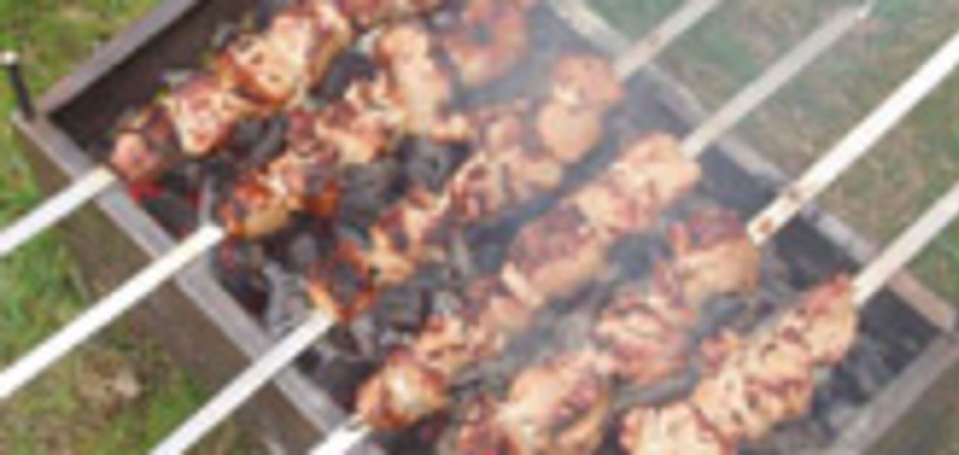 Не плануйте лісові 'маївки' - туди пустять не всіх