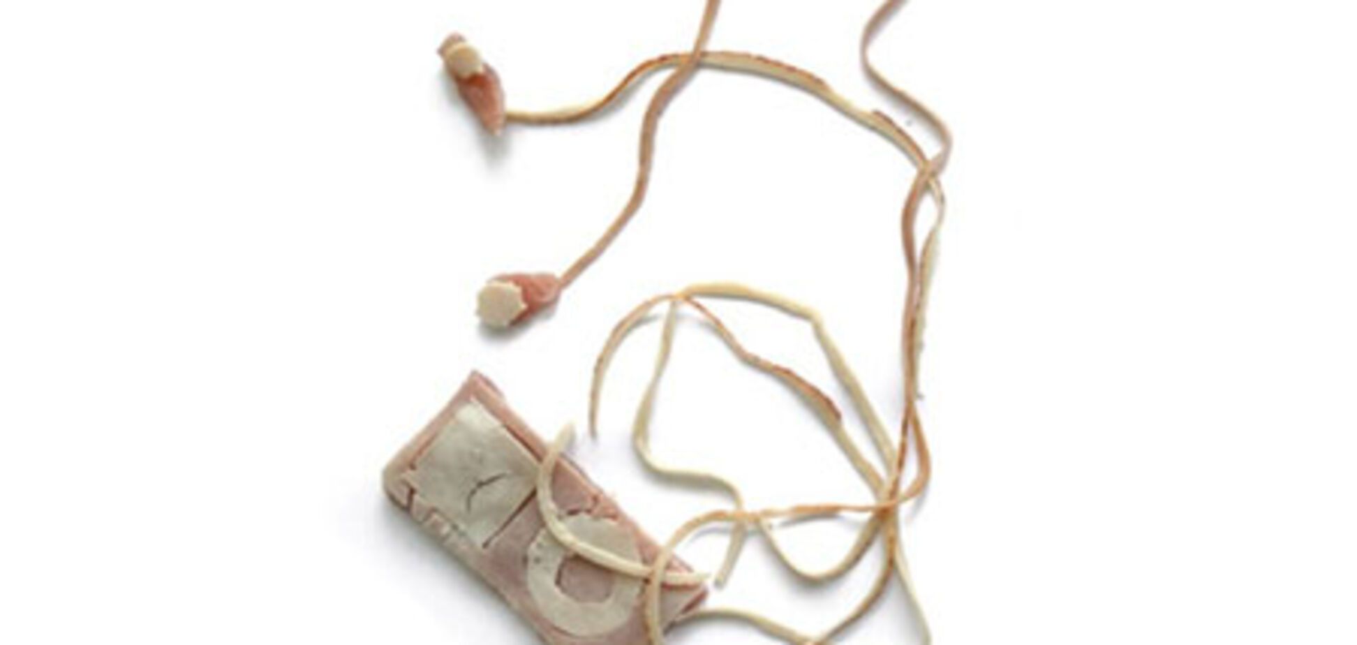 Айпод из ветчины, унитаз из мяса