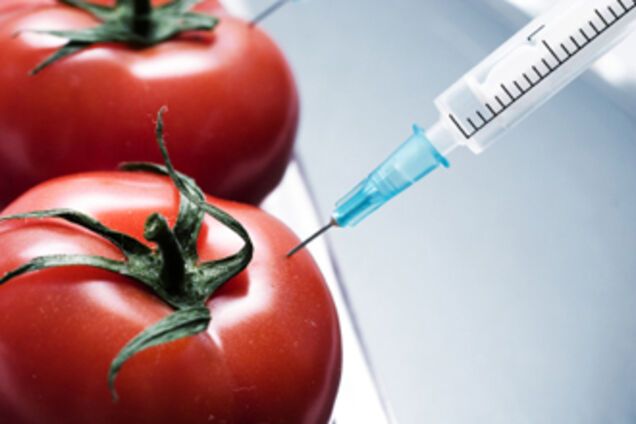 Кабмин обязал маркировать отечественные продукты с ГМО