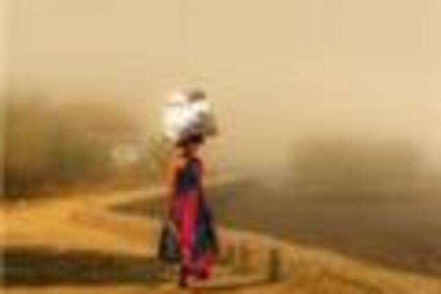 Число жертв жары в Индии достигло 130 человек