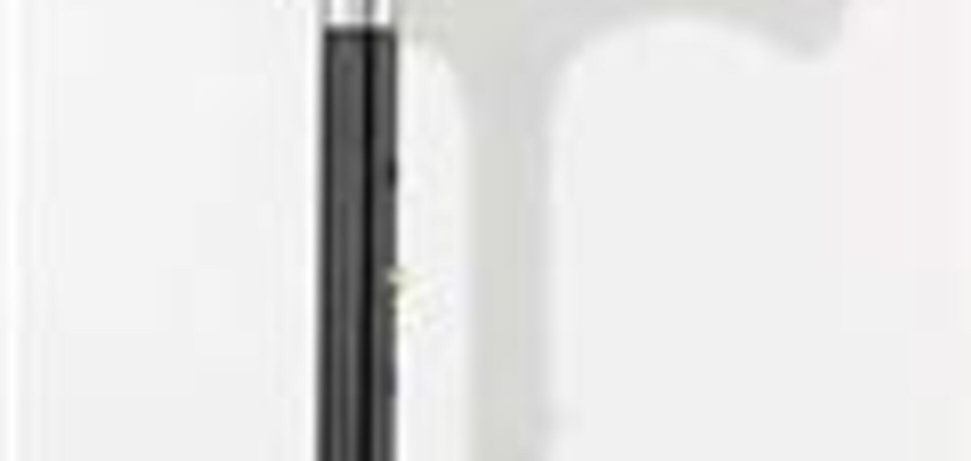 Білоруському пенсіонеру дозволили безкарно побити мера