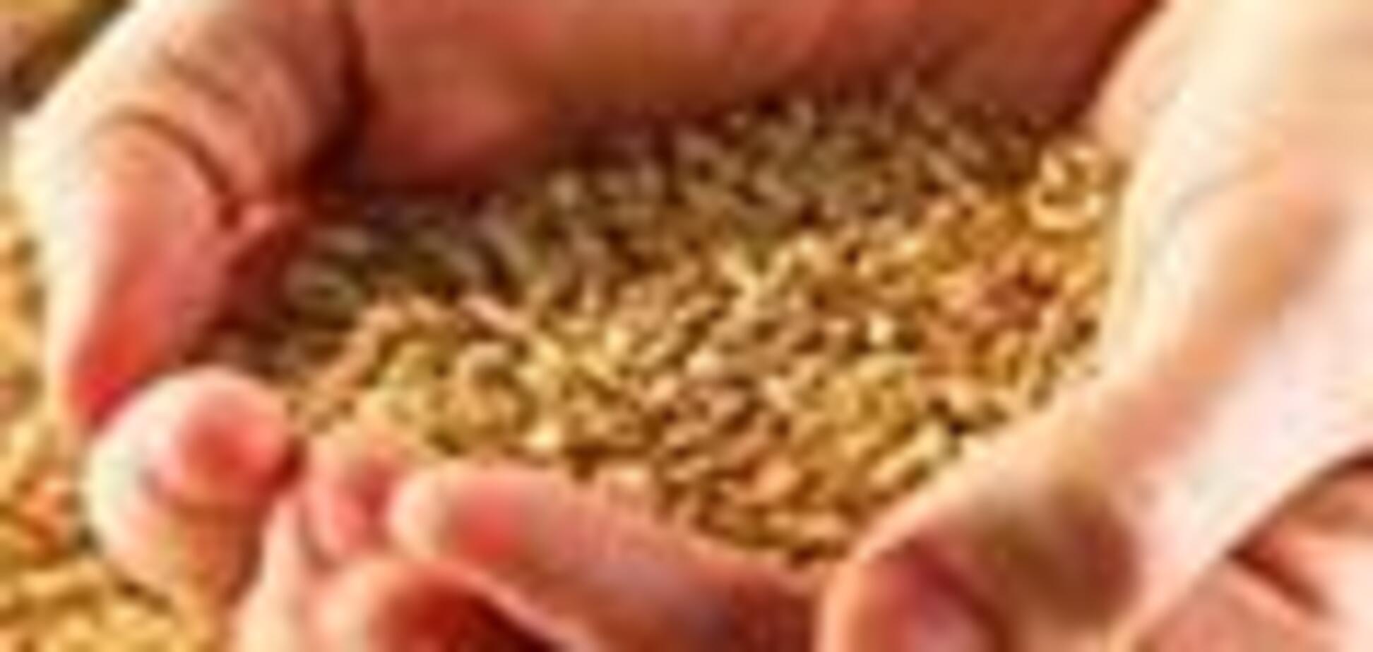 Подведены итоги зернового года в Украине