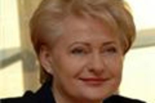 Перспективы нового президента Литвы оспаривают