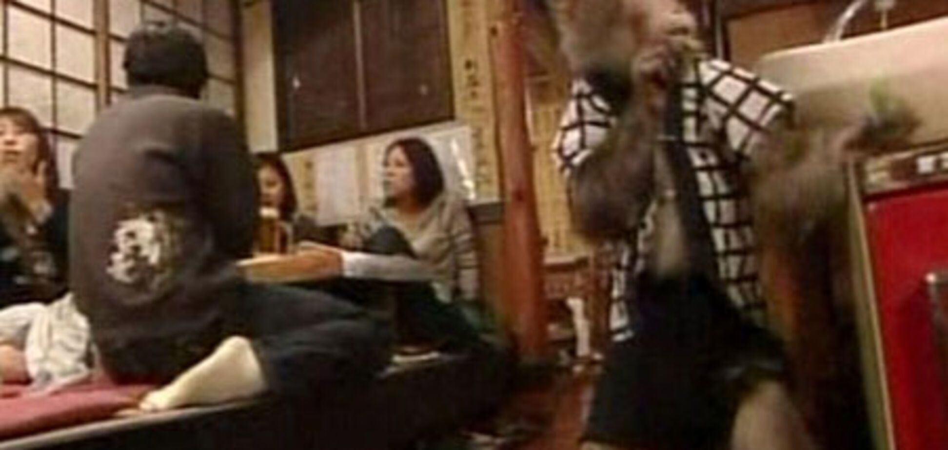 Обезьянка Фуку-Чан стала любимой официанткой в ресторане 
