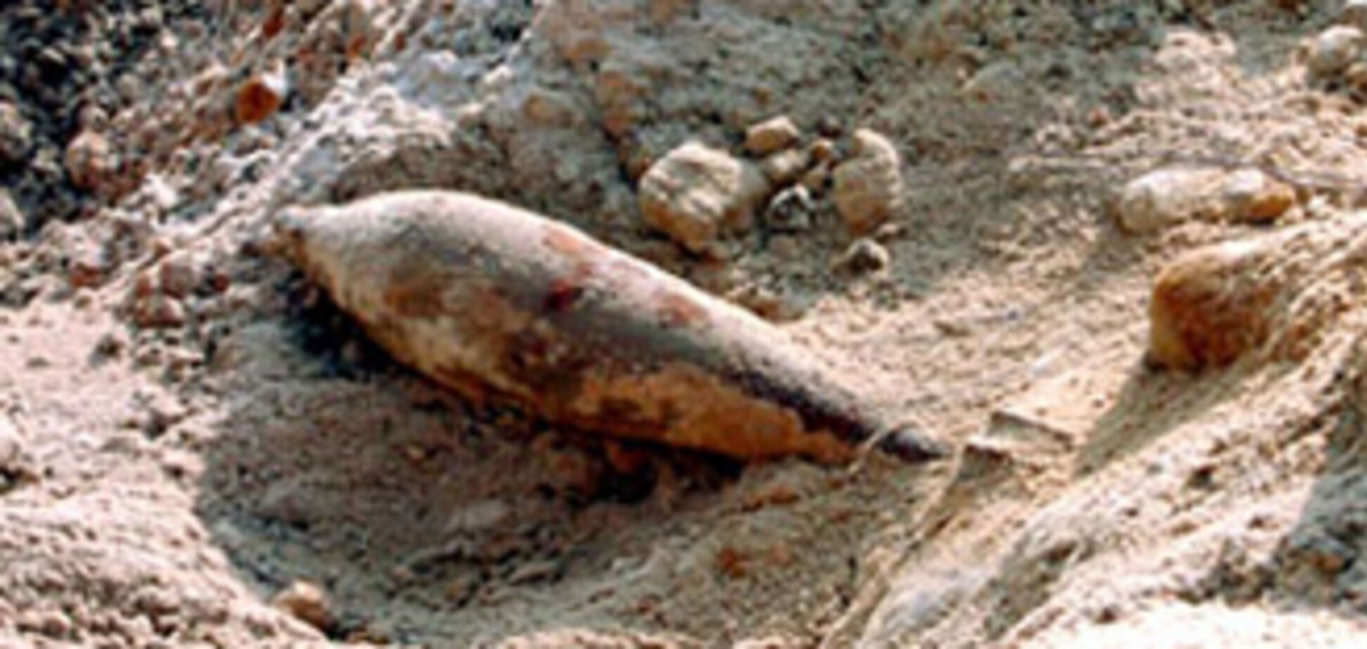 Взрыв на Донетчине, ранены дети