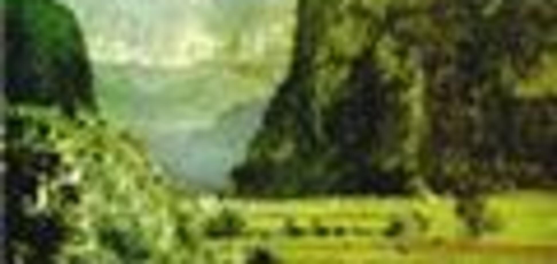 В Украине дорожает государственная и коммунальная земля