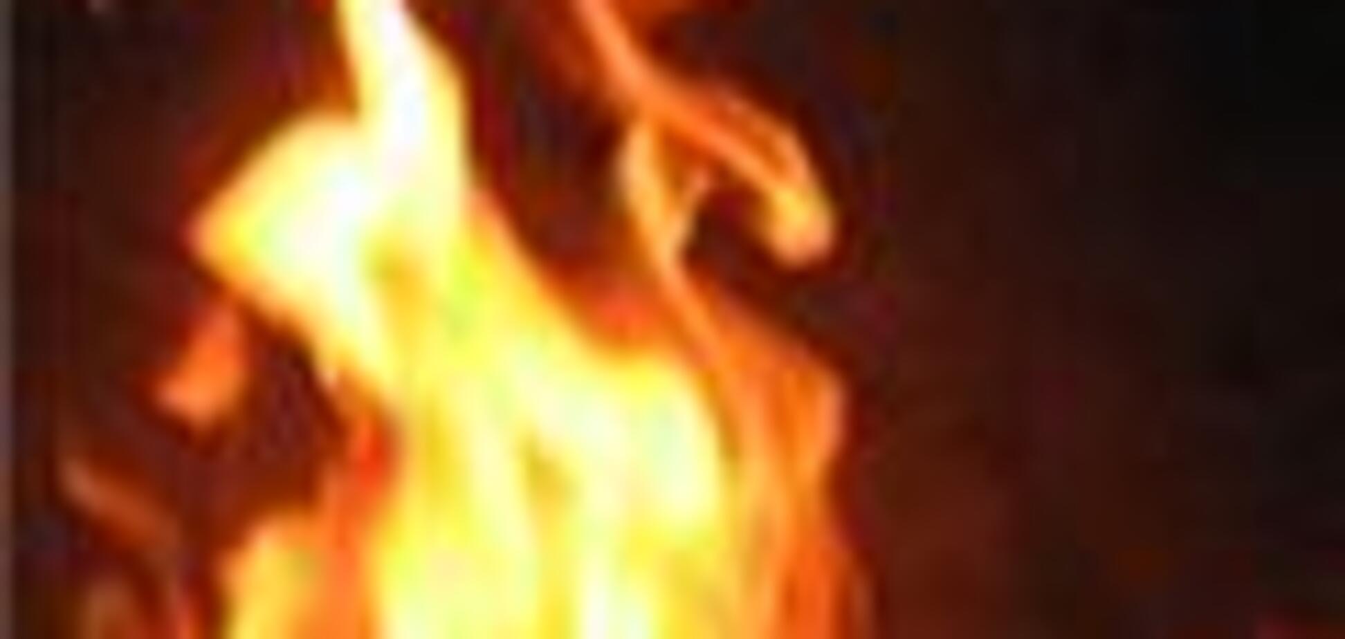 На Дніпропетровщині горить ліс