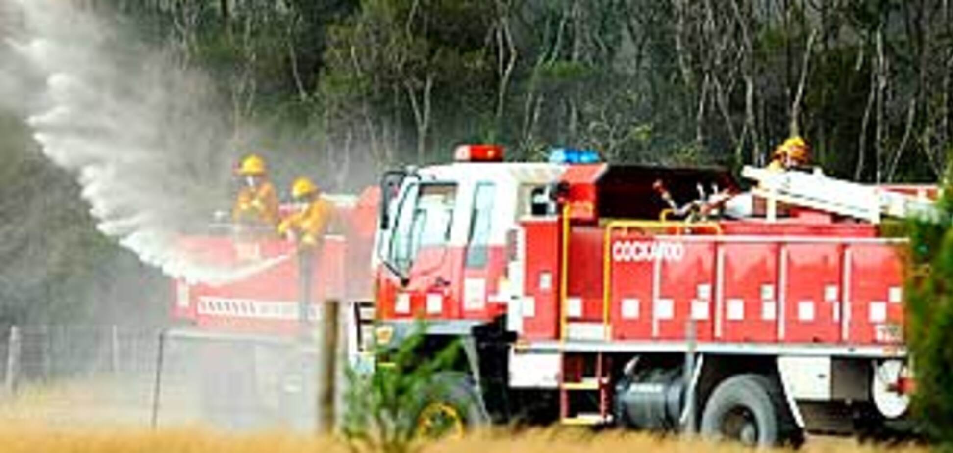 Греція охоплена лісовими пожежами