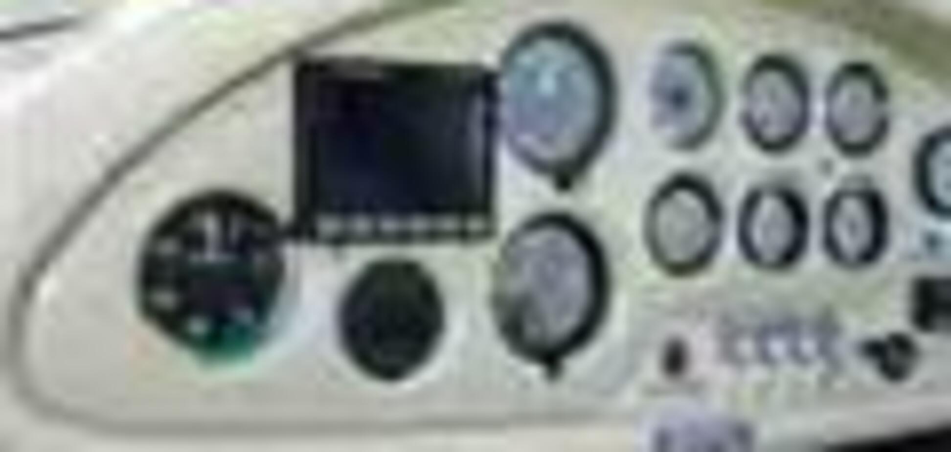 При падении частного самолета погибли два пассажира