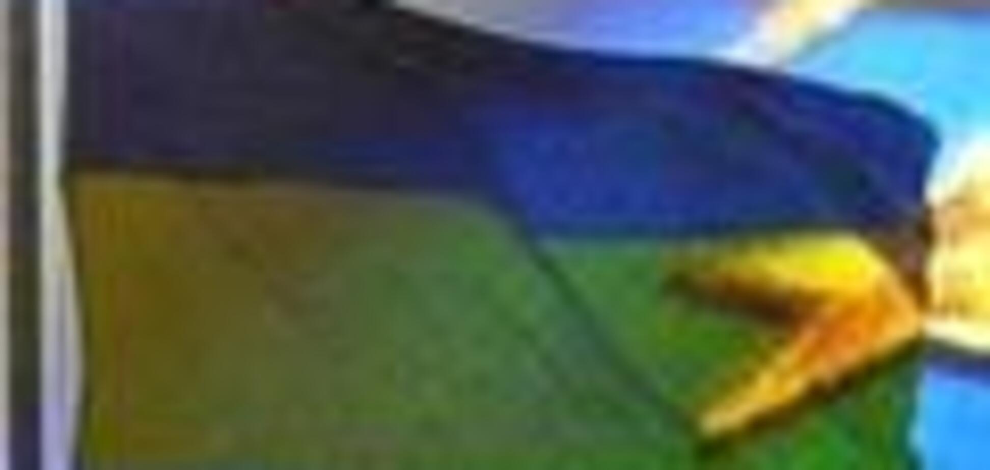 Премьер купилась на красивую обертку от ЕС