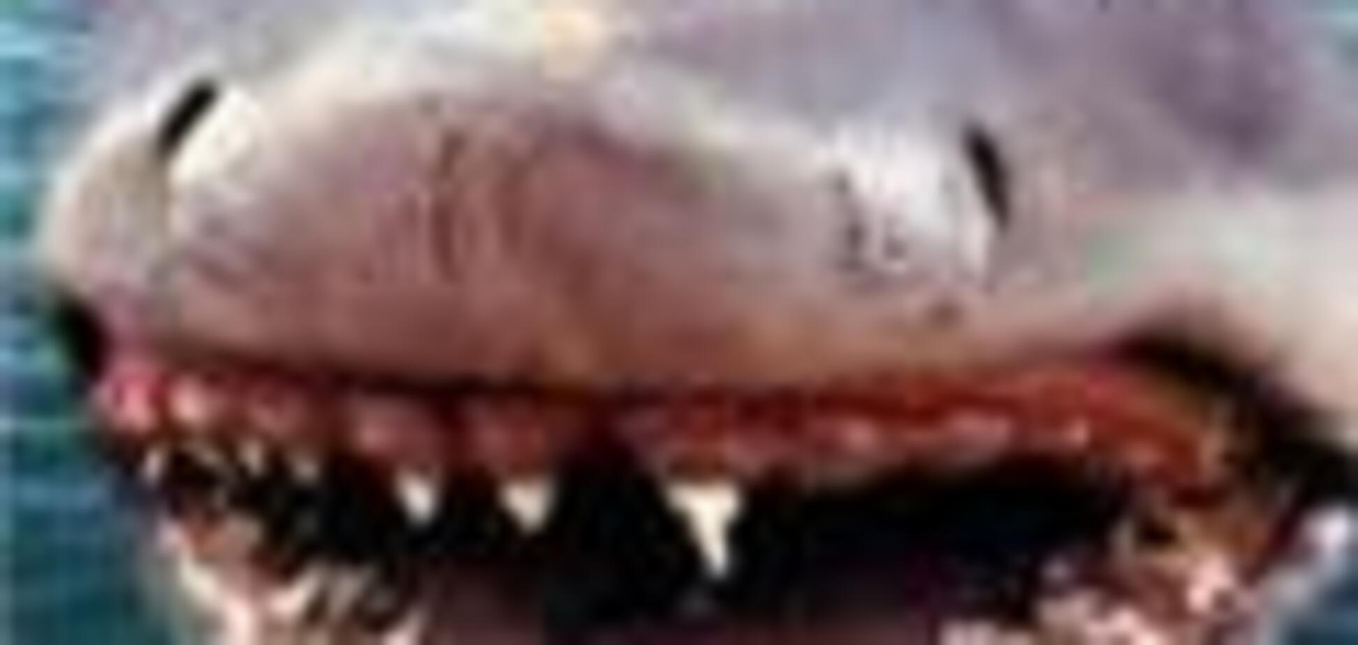 В результате нападения акулы погибла туристка