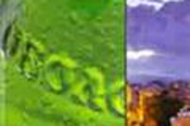 Пивзавод 'Оболонь' може отримати $ 50 млн кредиту від Європи