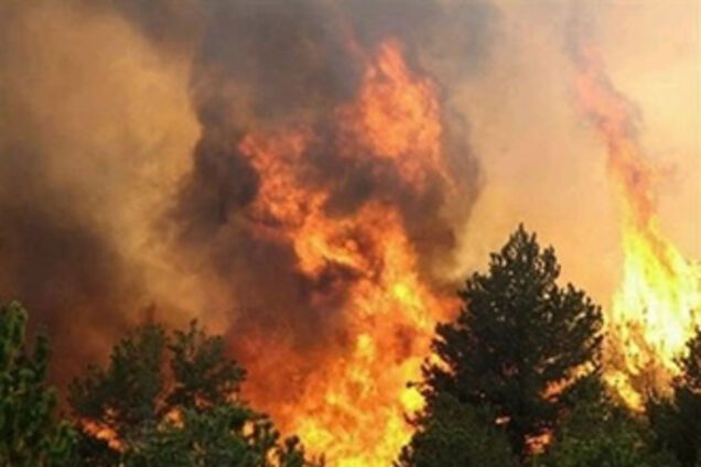 На Луганщине бушуют лесные пожары