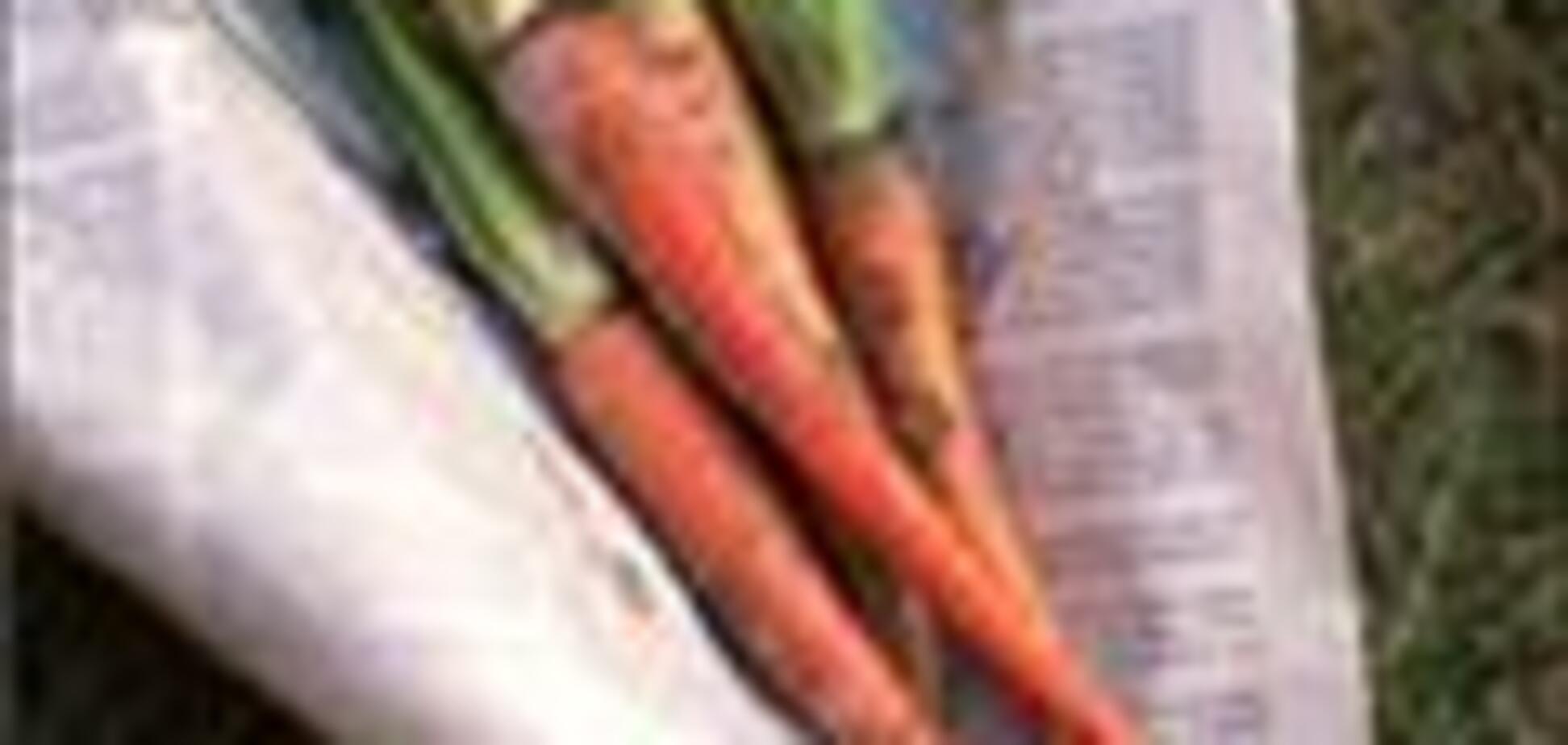 Оптовым рынкам сельхозпродукции подбросят деньжат