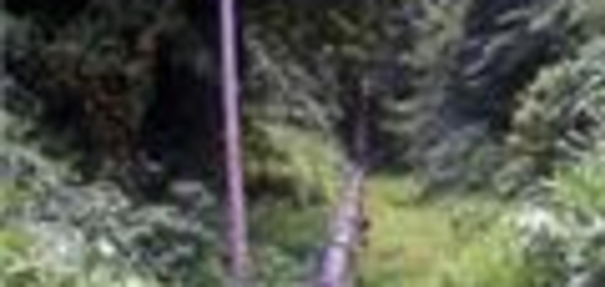 Крымский милиционер украл километр водопровода