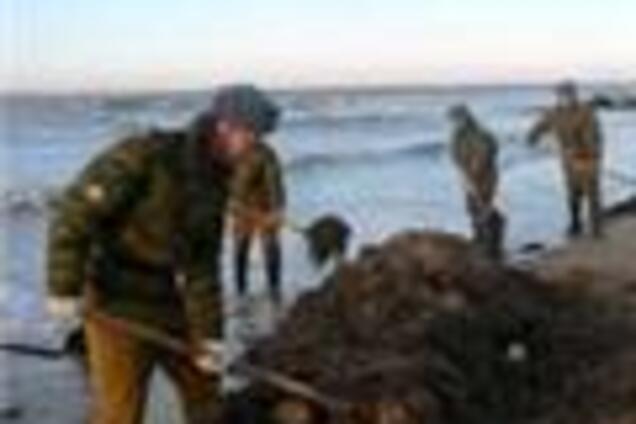 Разрешили перевозить серную кислоту через Керченский морпорт