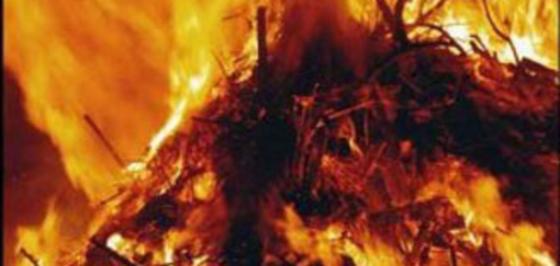 В детском саду погибли 29 малышей