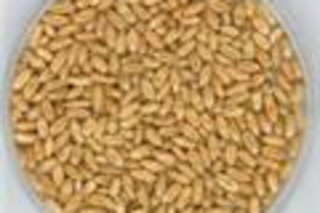 Сільгоспвиробництво йде на підйом