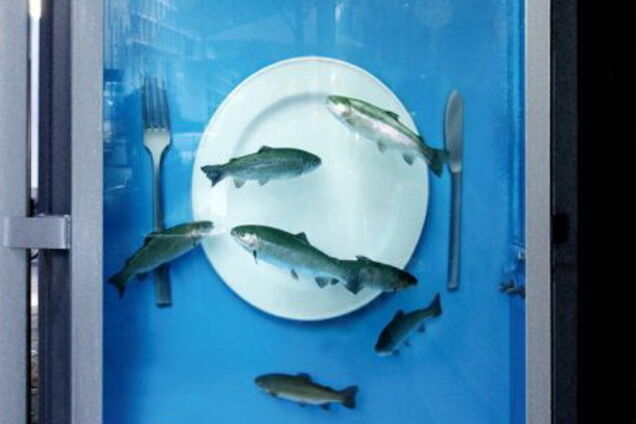 Реклама рыбного ресторана. Товар лицом