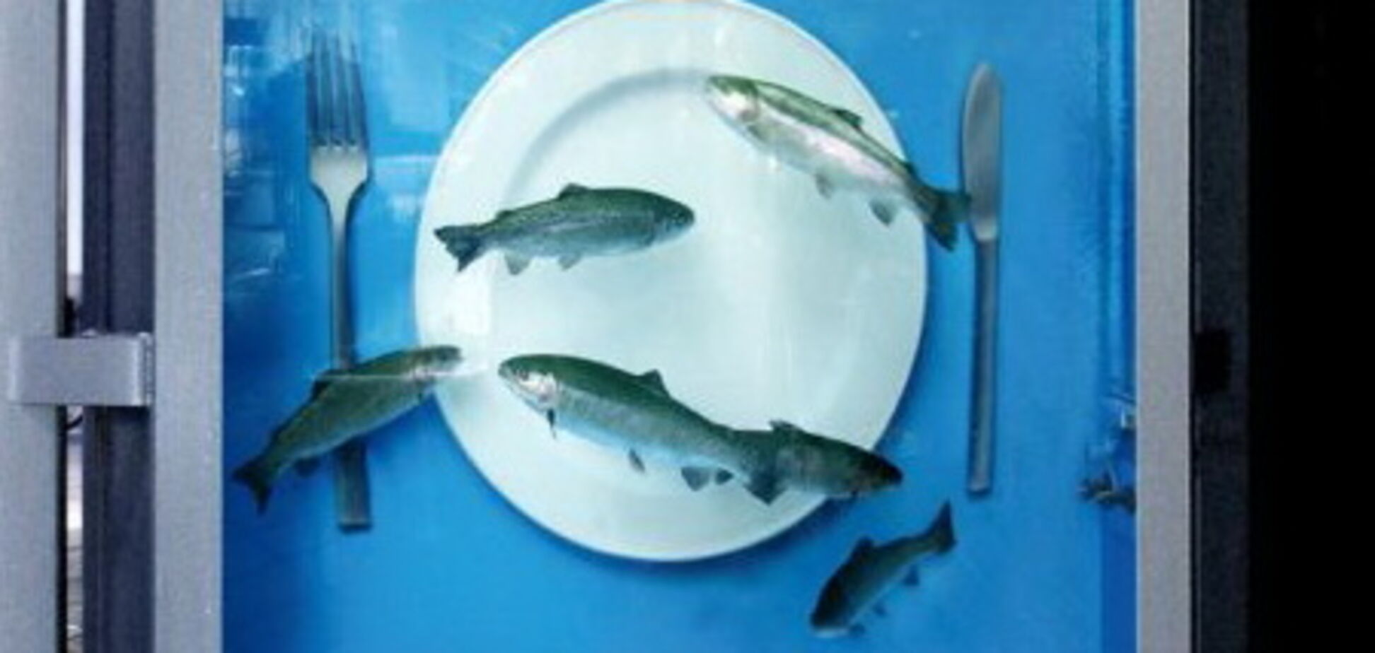 Реклама рыбного ресторана. Товар лицом