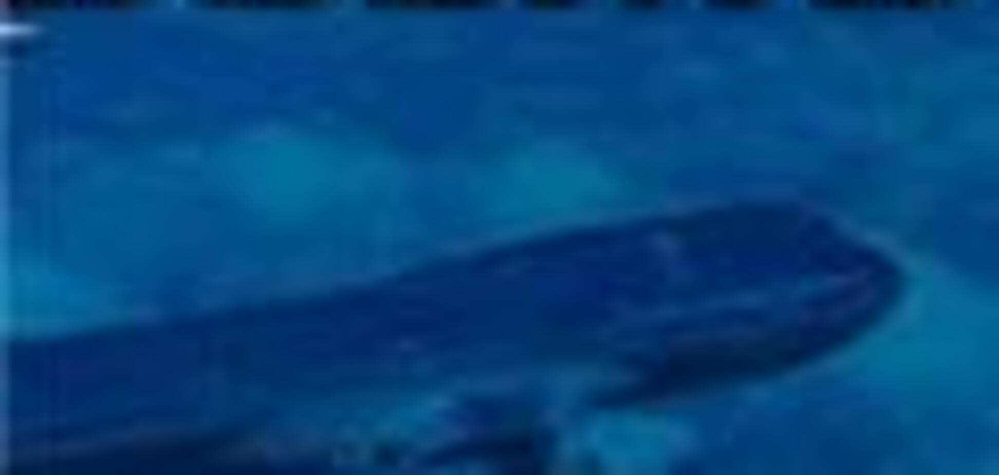 В США эвакуированы пассажиры авиалайнера