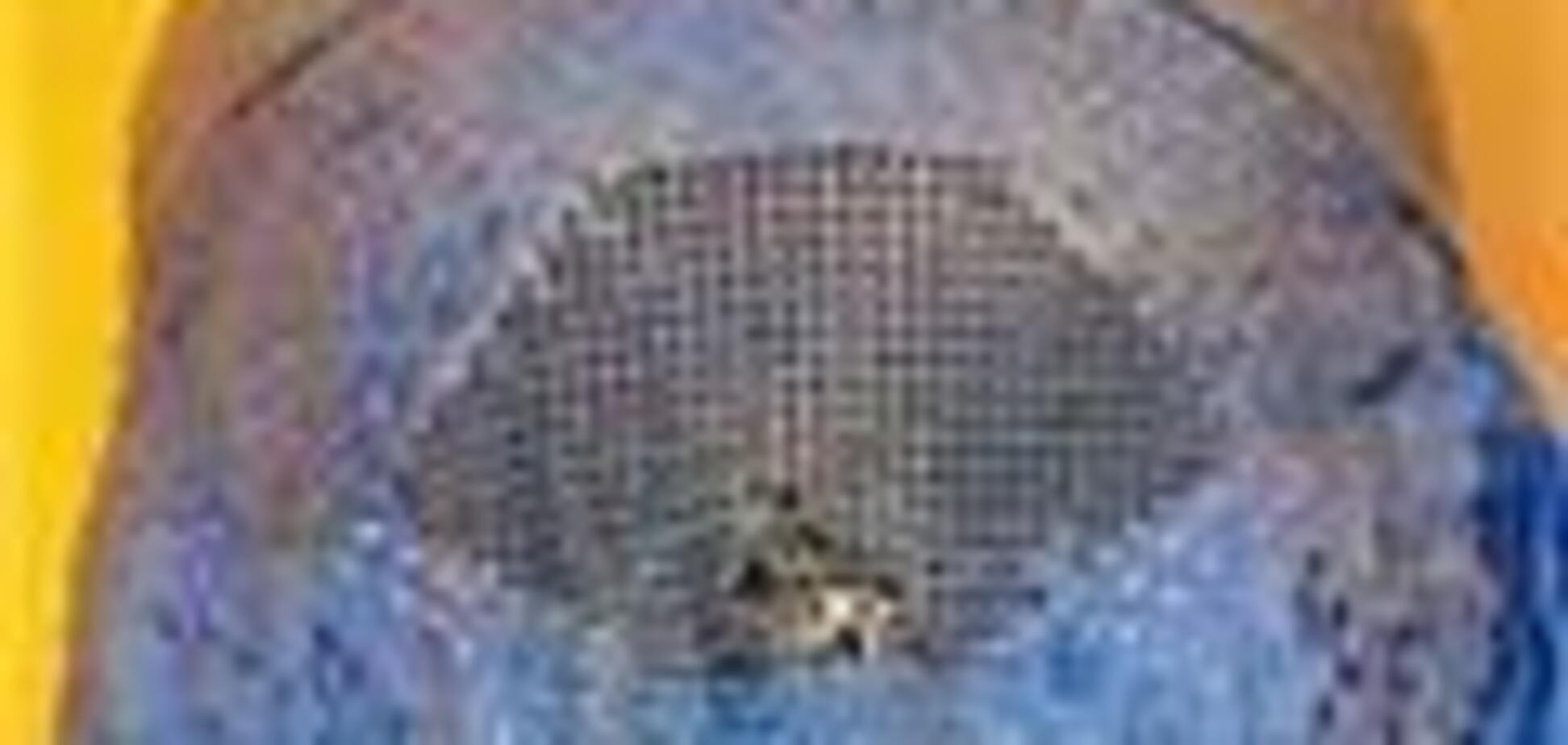 Жительниц Судана выпороли за недостойную одежду