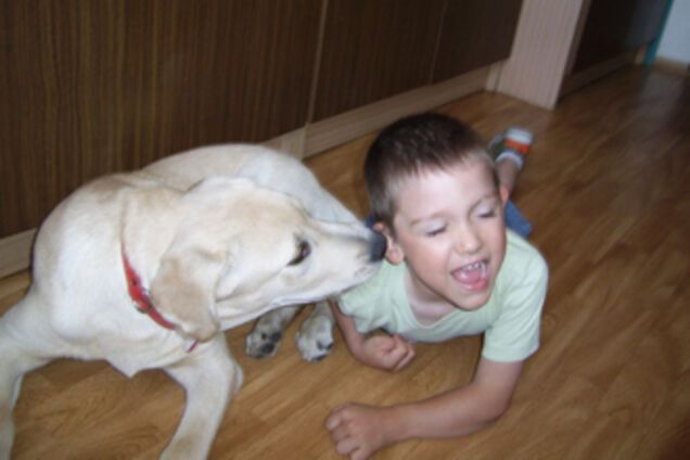 Хотите быть услышанными? Говорите в правое ухо