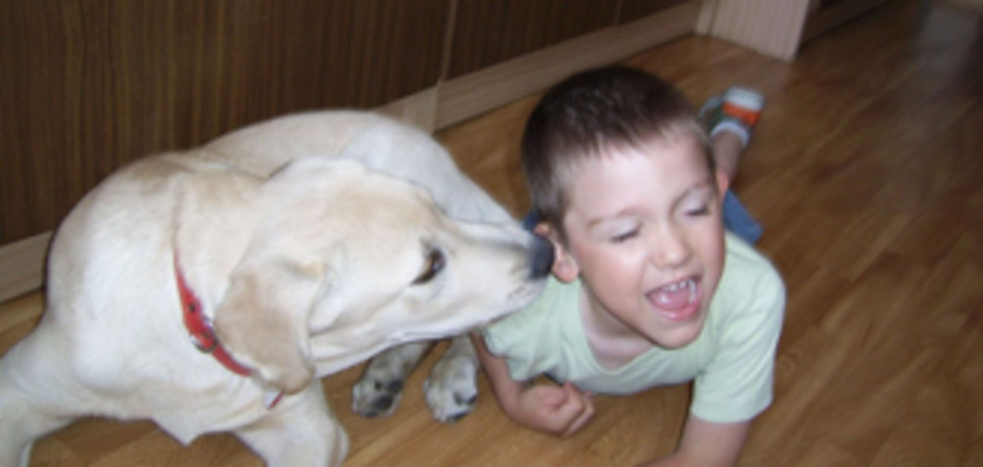 Хотите быть услышанными? Говорите в правое ухо