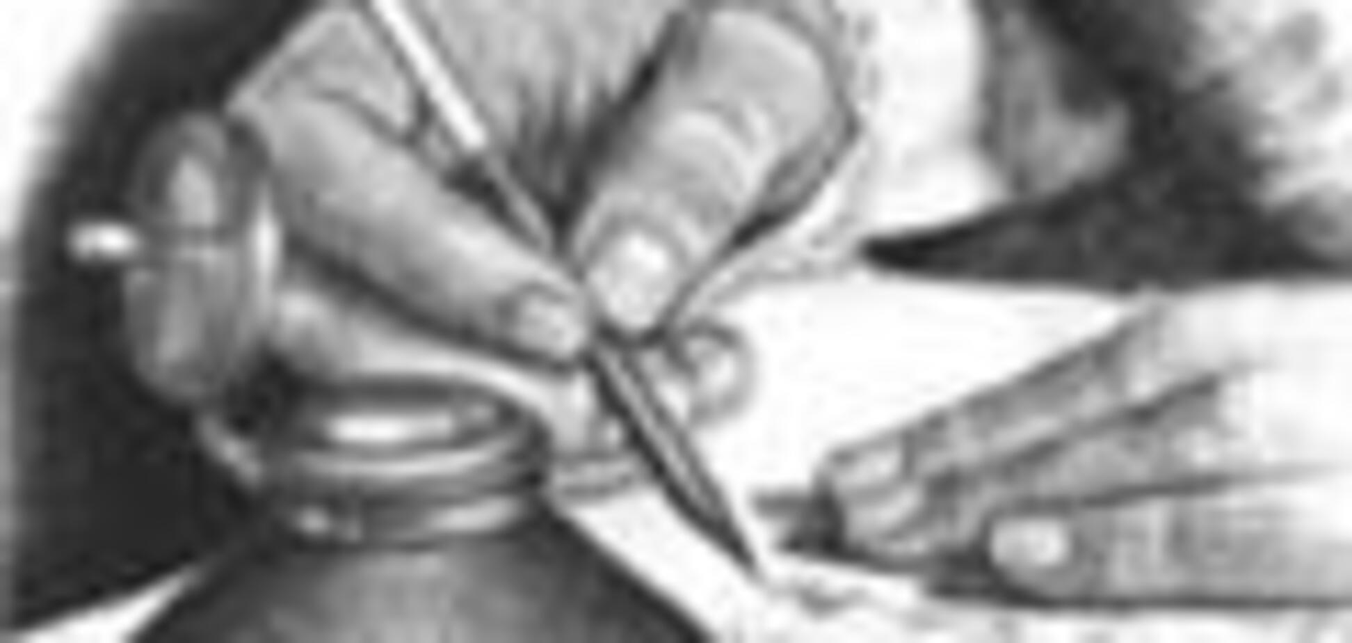 За сатиру на президентом грозит срок