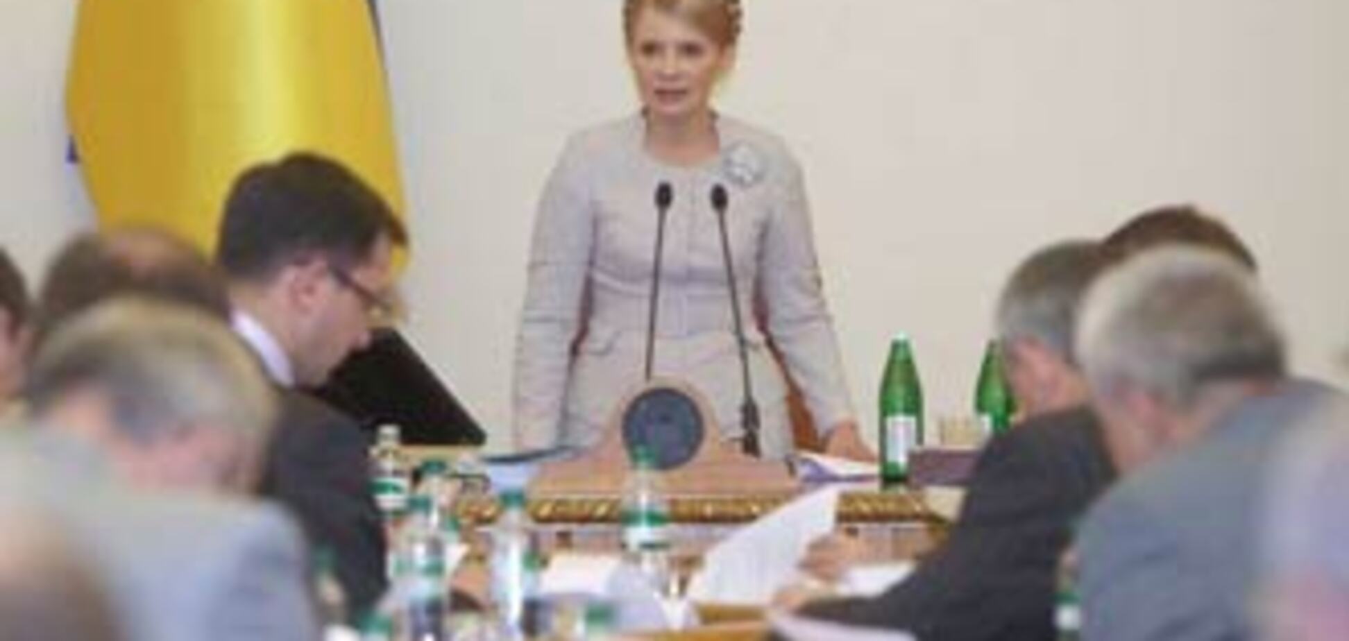 'Свежая кровь' правительства Тимошенко: финансовый портрет