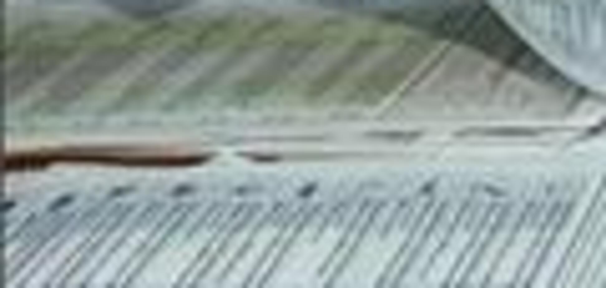 Центризбирком занялся 'мертвыми душами'