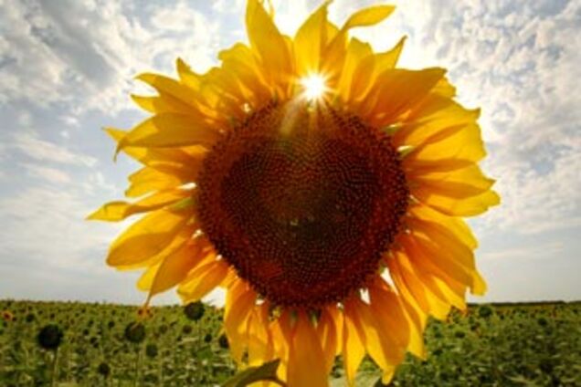 Украина потребует от США гарантий безопасности