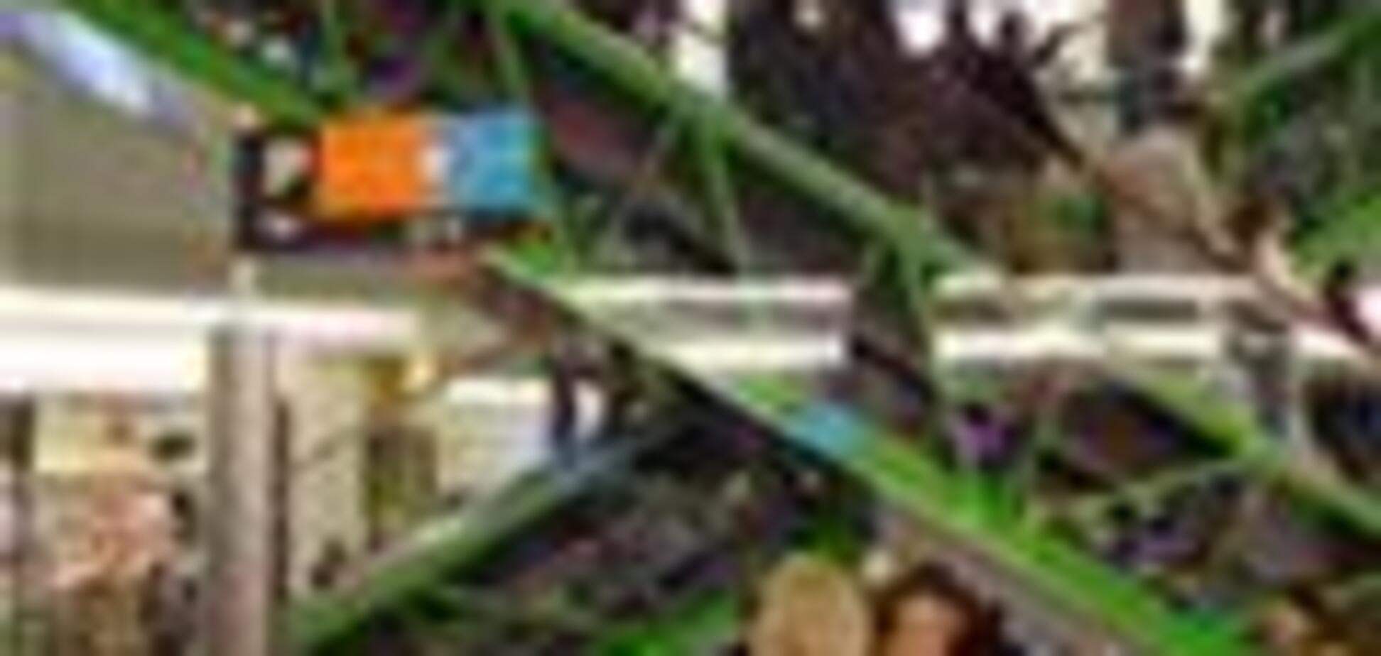 30 человек ранены в Варшаве из-за конфликта вокруг ТК