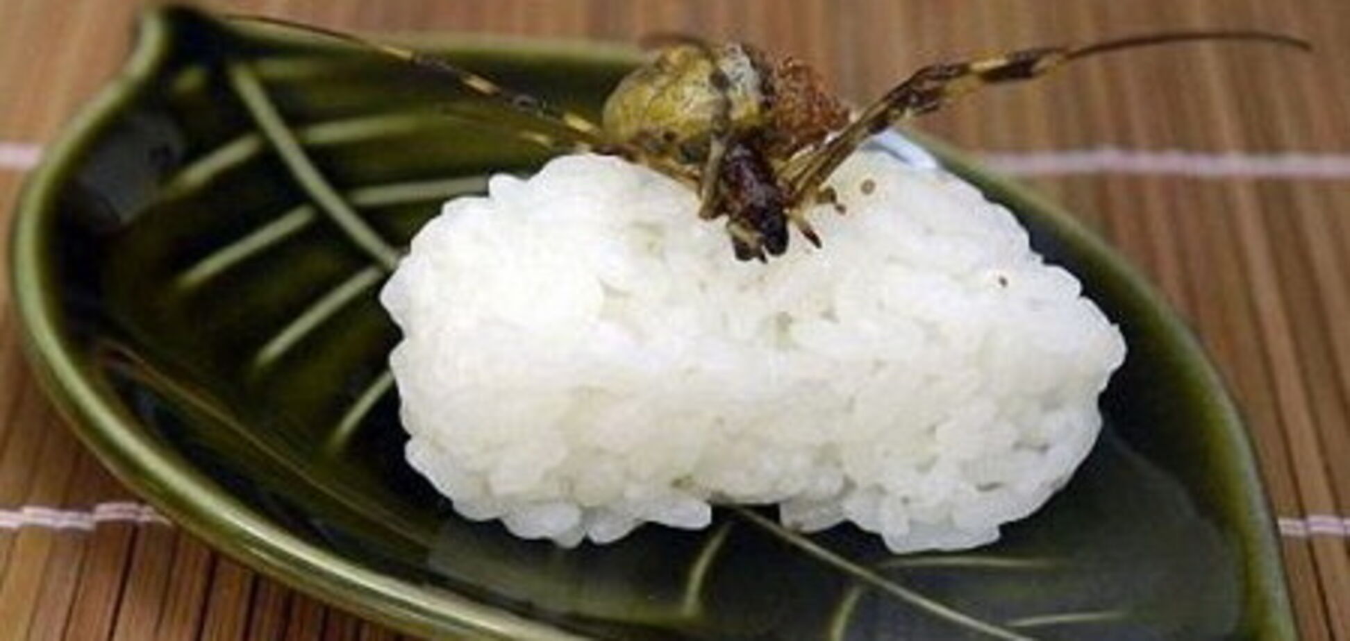 Суши не для слабых нервами и желудком