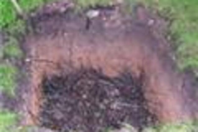 В Николаеве в компостной яме погиб ребенок и 3 взрослых