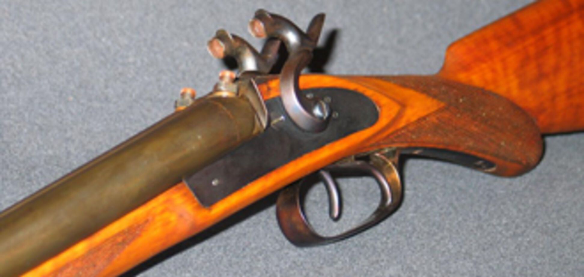 На Донетчине парень застрелил брата, спутав его с барсуком