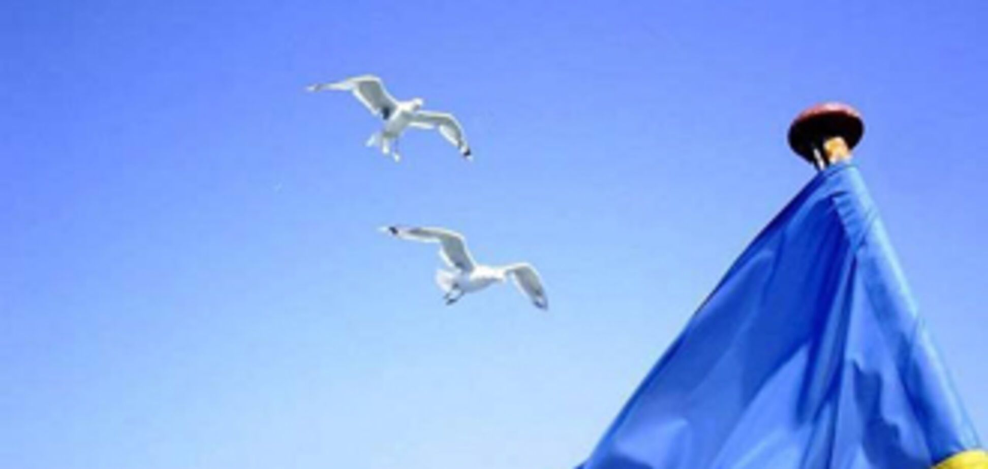 Симоненко против празднования Дня независимости Украины