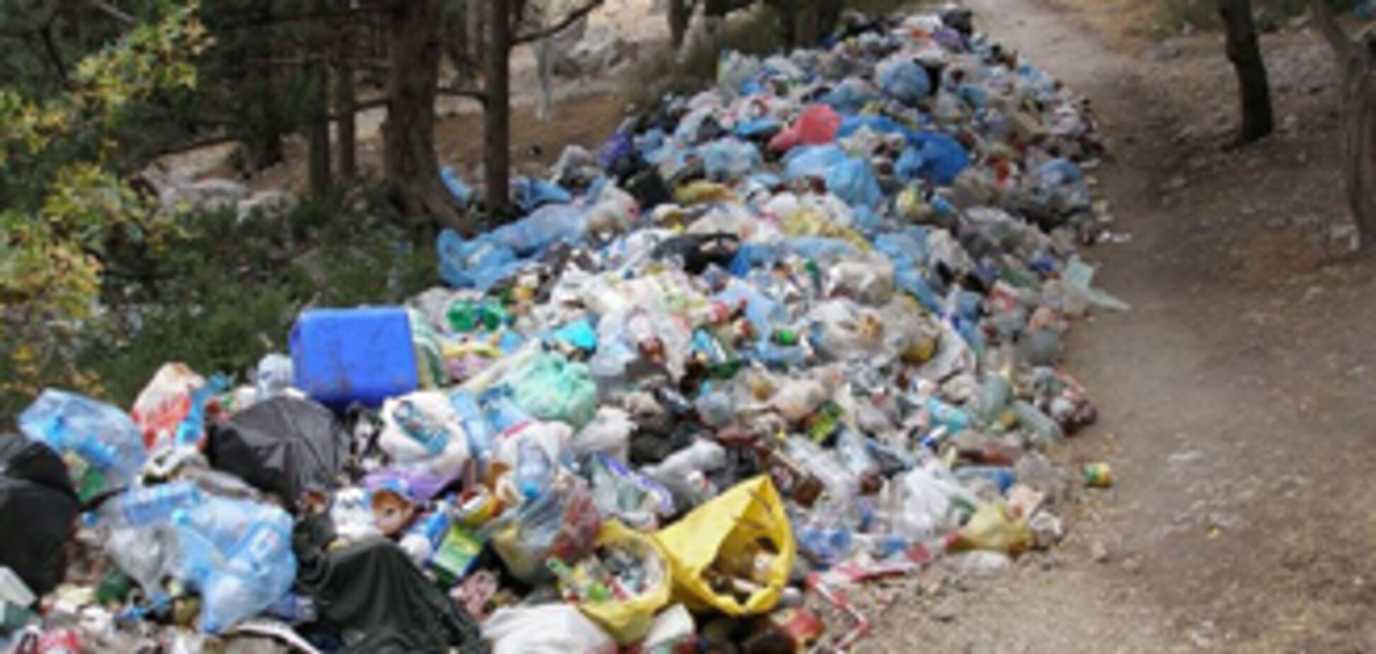 В Черкассах выявлен подпольный мусоросортировочный завод