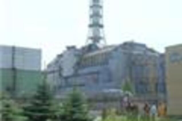 На Чернобыльской АЭС бешеный волк искусал шестерых