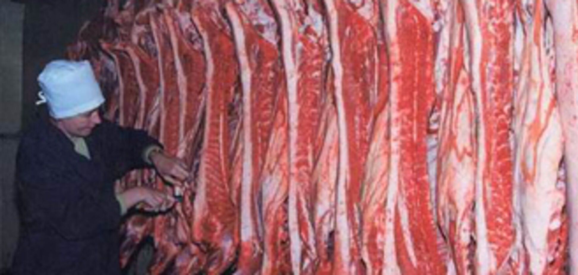 СБУ выявила 240 тонн контрабандного мяса