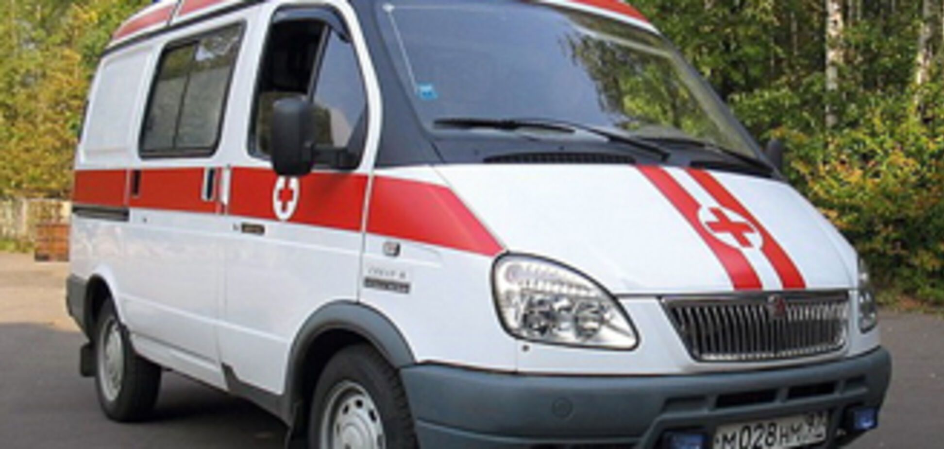 На Донетчине милиционеры сбили мать пятерых детей