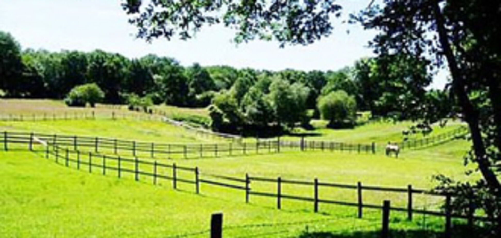 На Сумщине против депутатов возбудили 10 уголовных дел