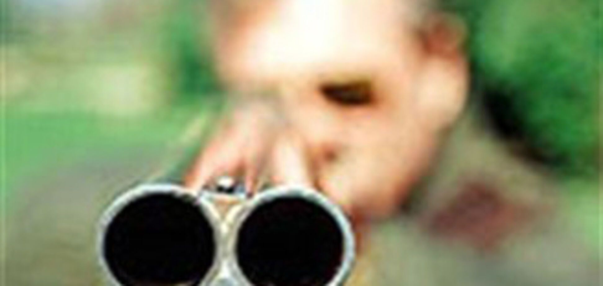 Бизнесмен застрелил бизнесмена из-за подсолнухов