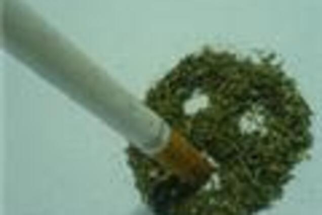 На Житомирщине у пенсионерки изъяли 30 кг марихуаны