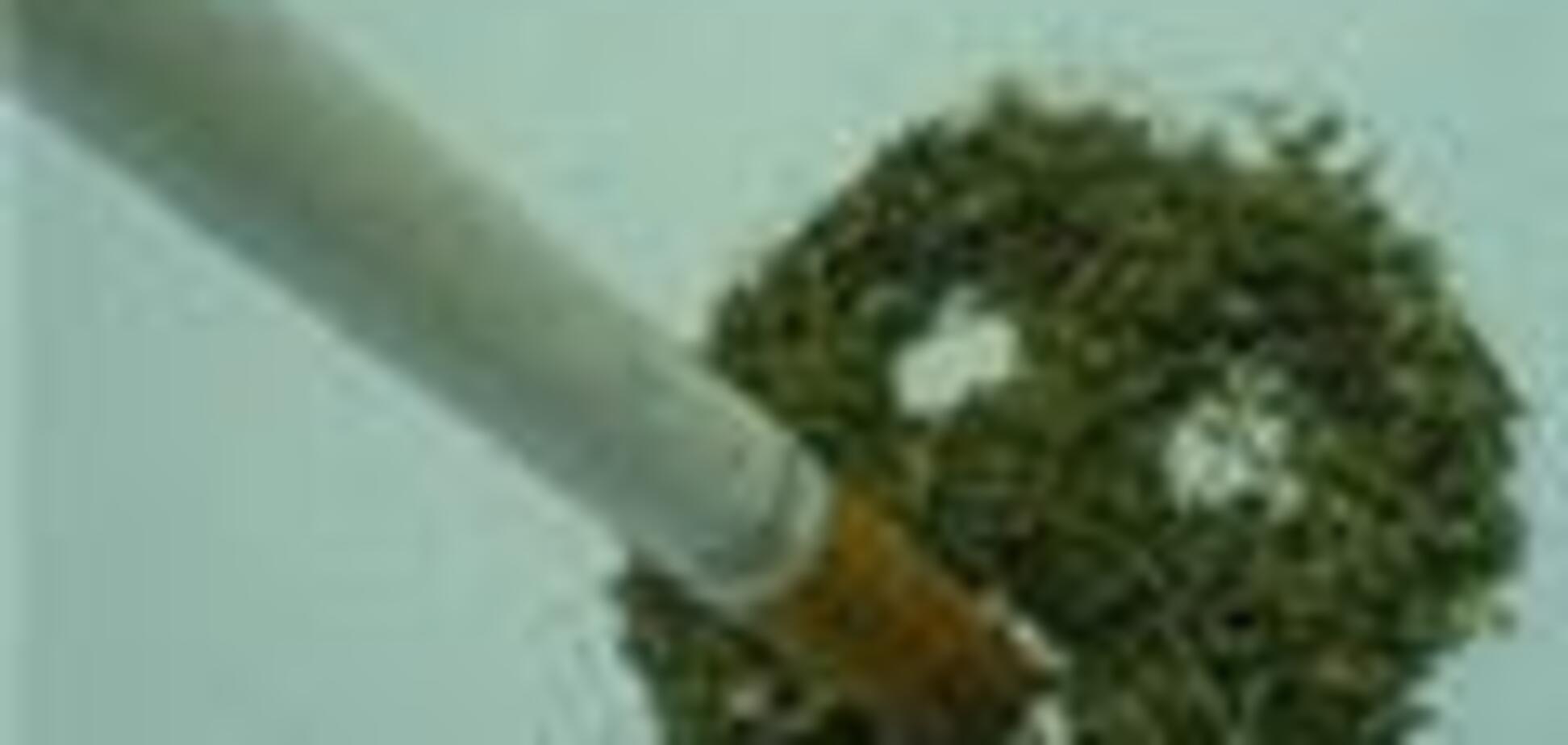 На Житомирщине у пенсионерки изъяли 30 кг марихуаны