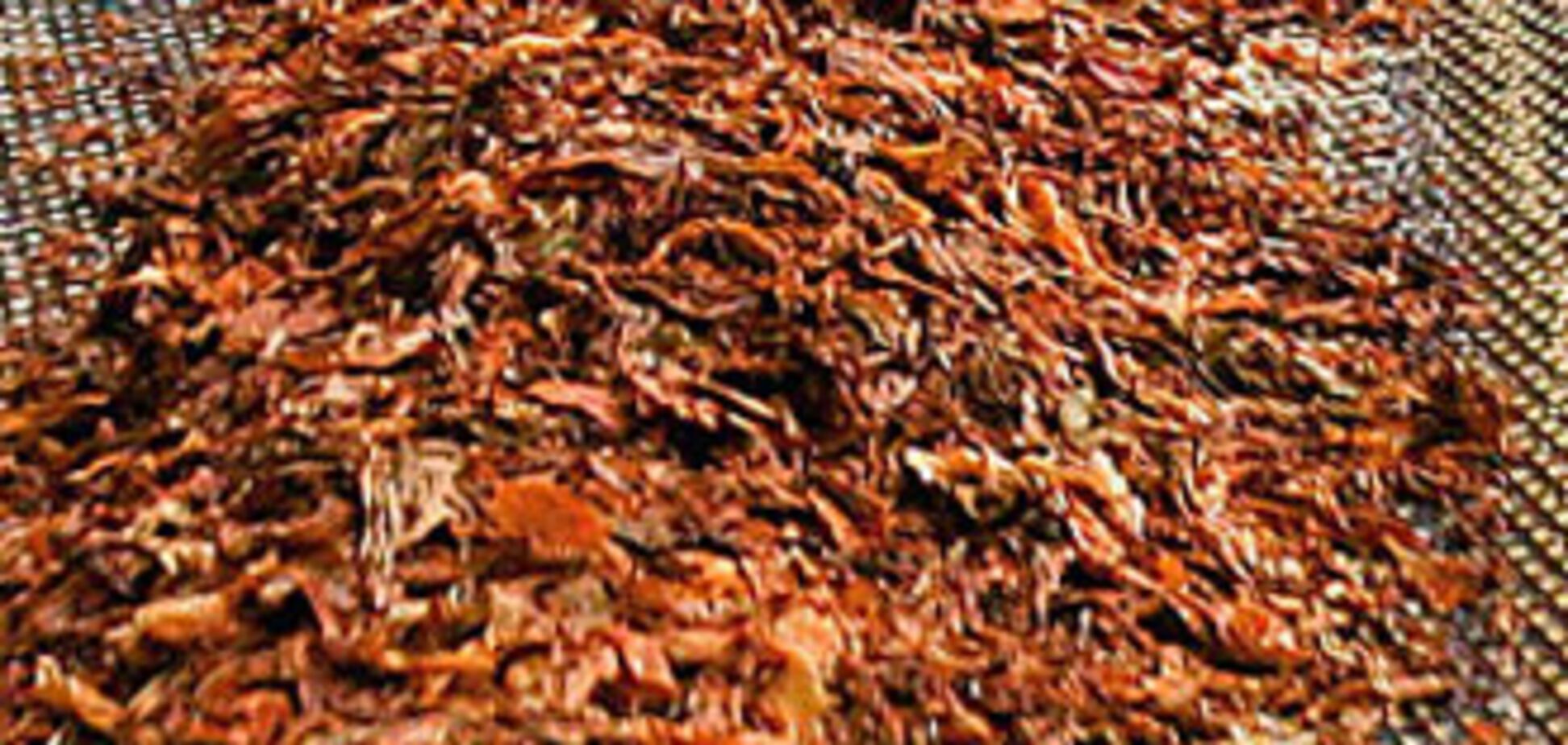 Путин заинтересовался курительными смесями