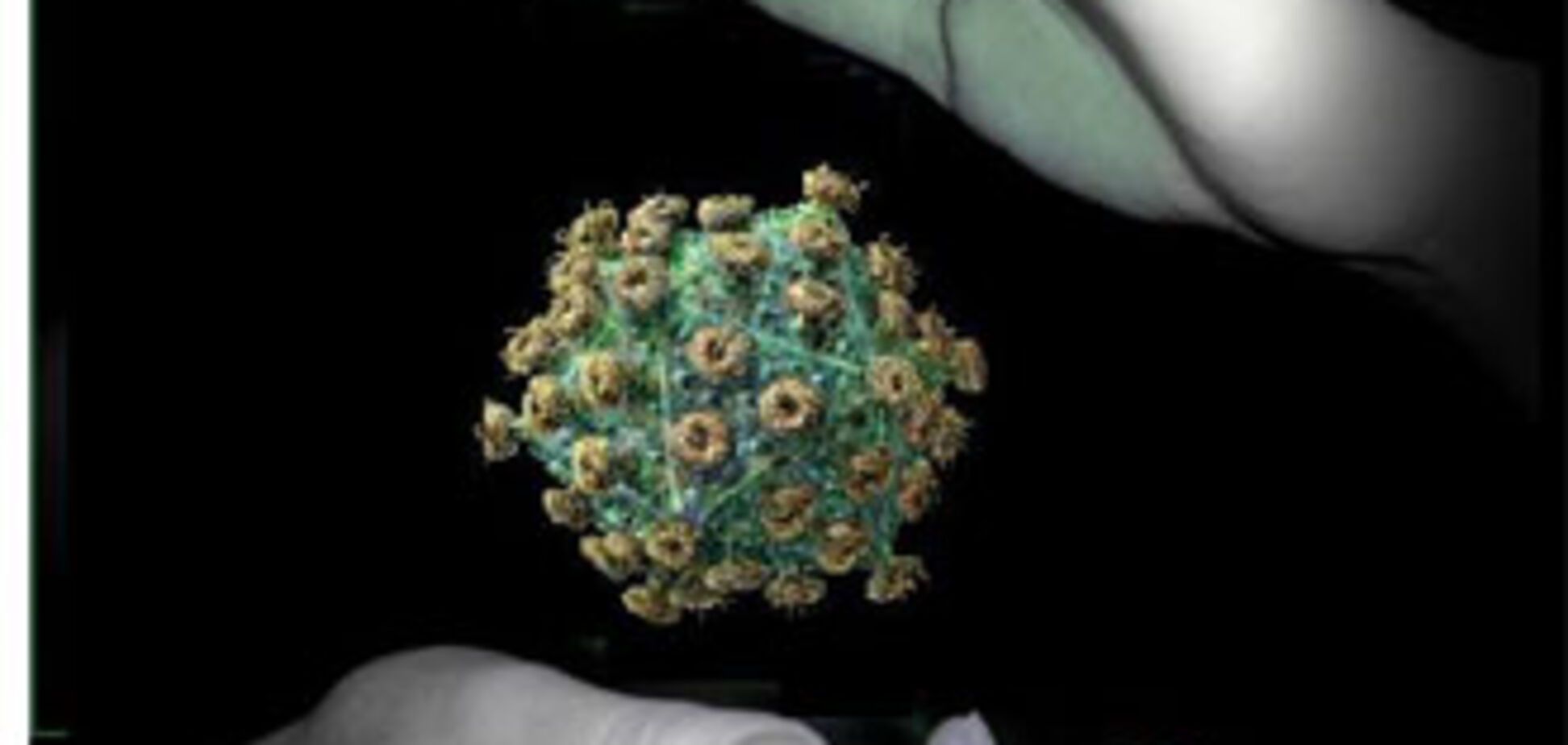 Американка из мести заразила СПИДом 500 человек