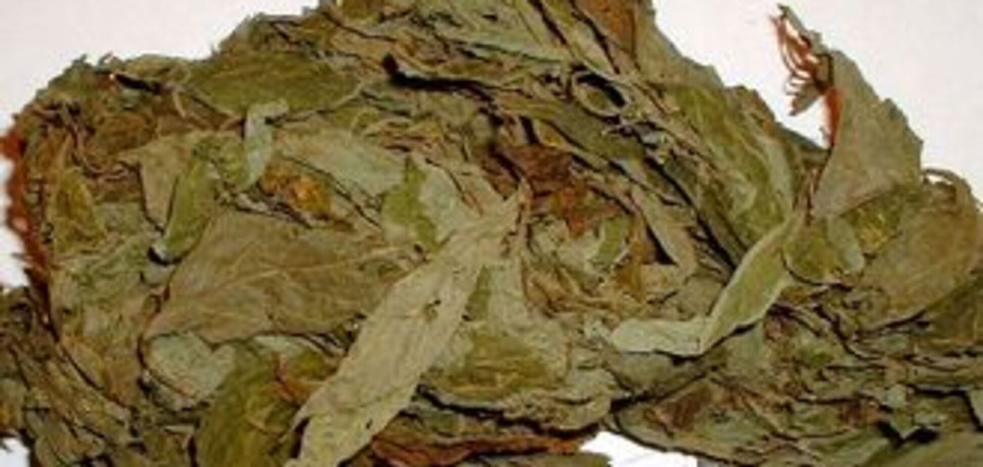 Курительные смеси официально приравняли к героину