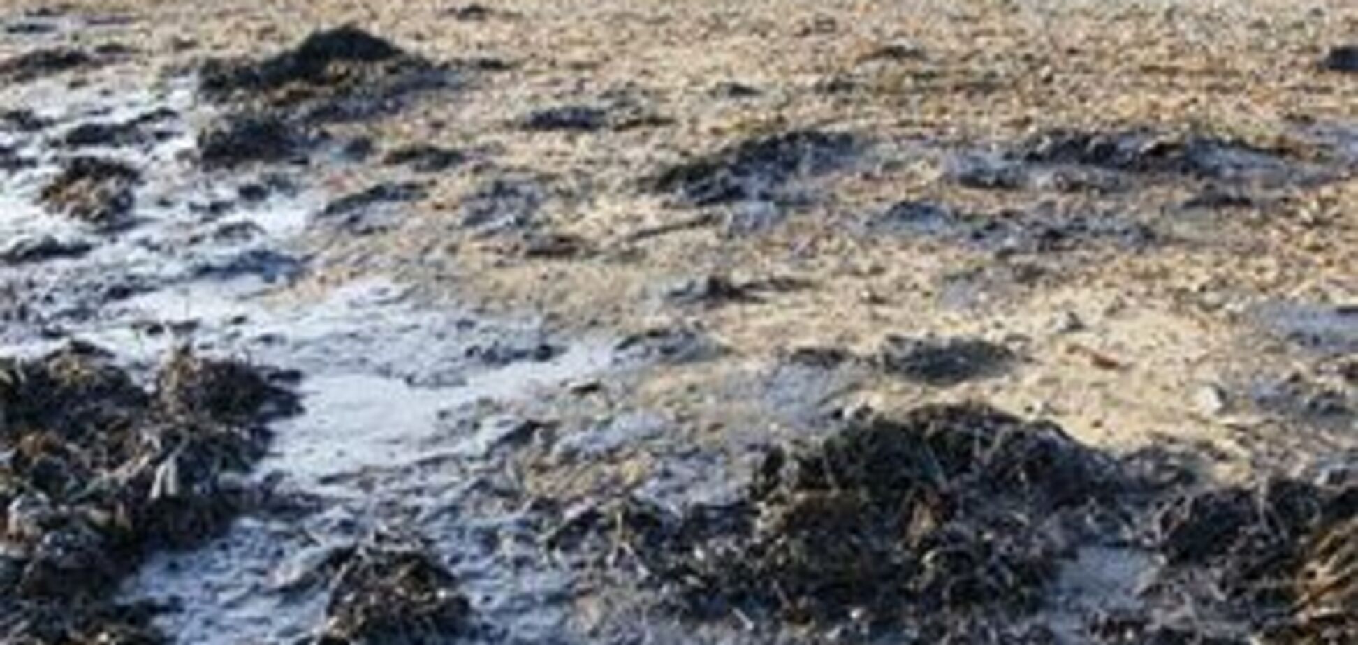 Буксир зіткнувся з танкером, розлилися тисячі тонн нафти